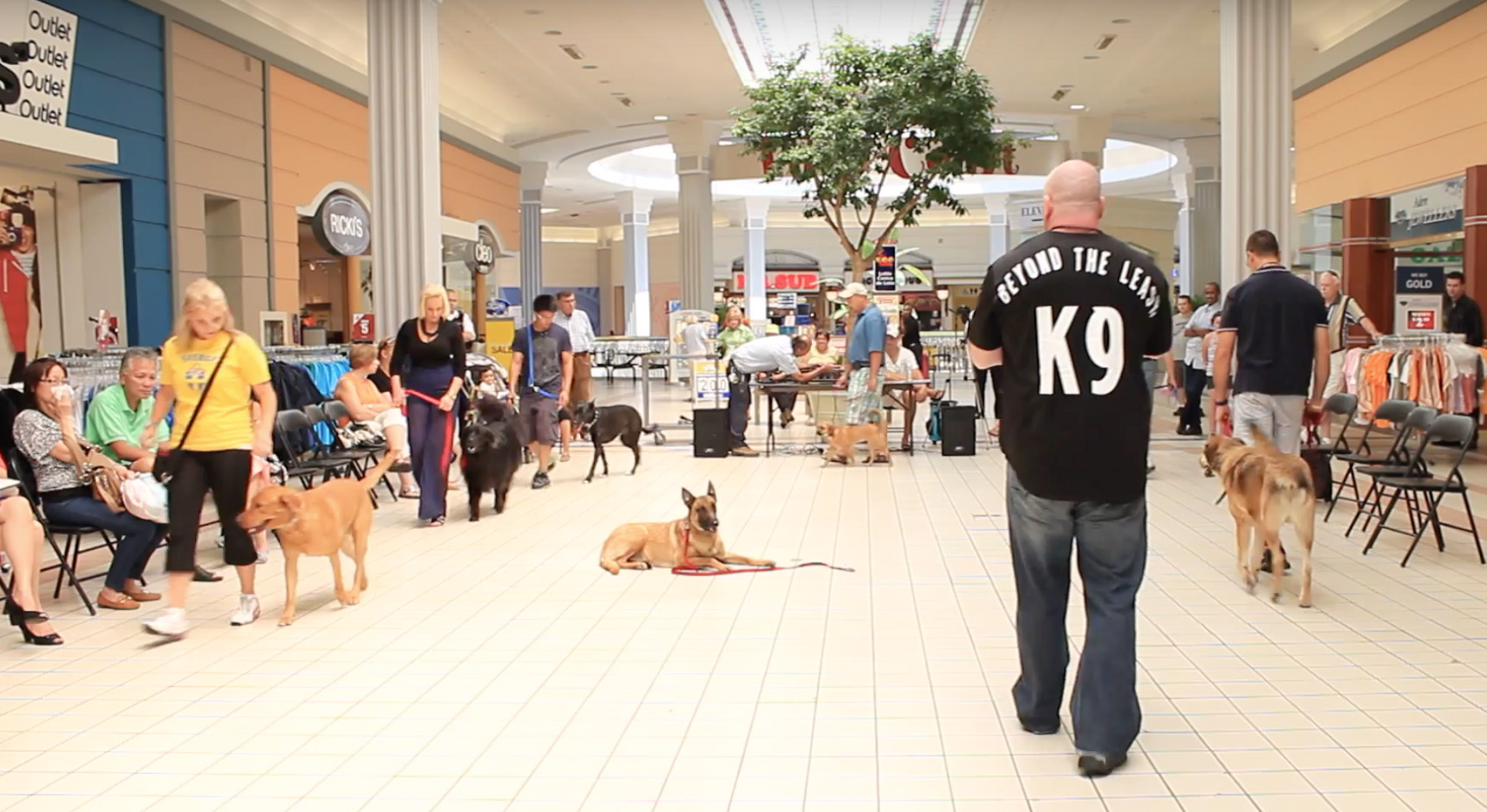 dog training at the mall
