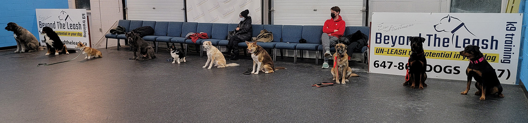 COME, SIT and STAY a while